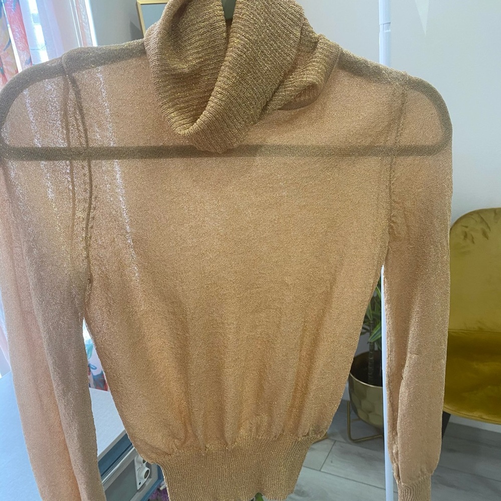 Fall Sheer Turtleneck